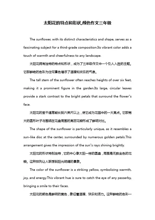 太阳花的特点和形状,颜色作文三年级