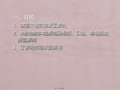 咽喉部影像解剖、咽喉部病变的影像诊断(1)