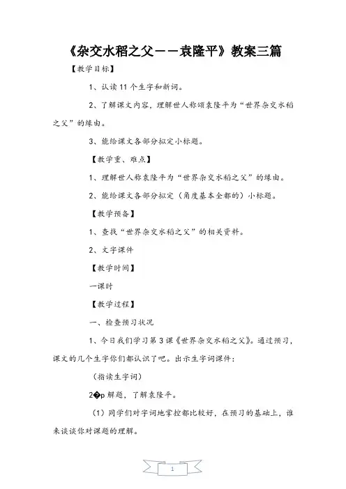 《杂交水稻之父――袁隆平》教案三篇