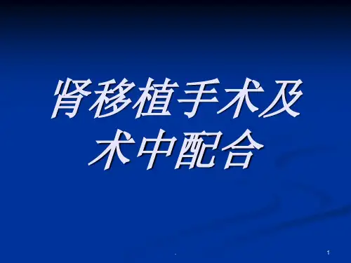 肾移植手术及术中ppt课件