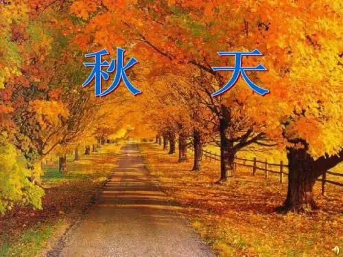 初中语文《秋天》(共22张)ppt159