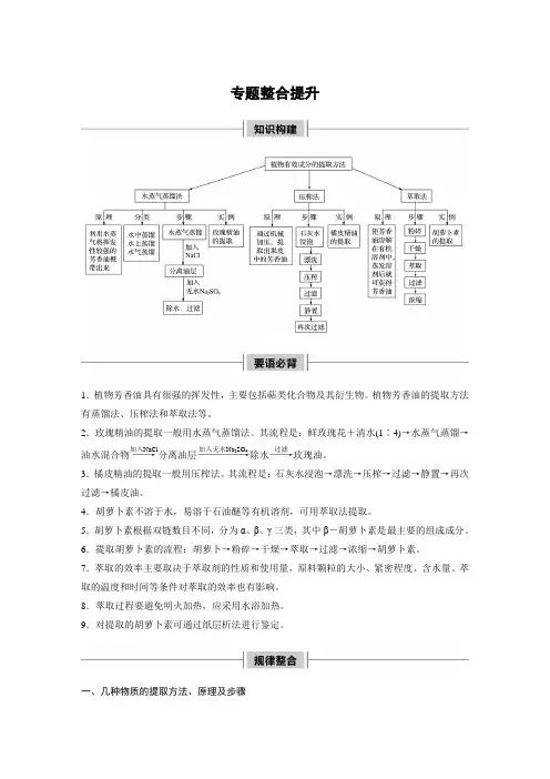 专题6  高中生物选修1专题整合提升