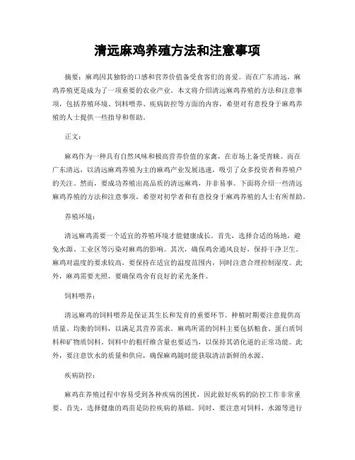 清远麻鸡养殖方法和注意事项