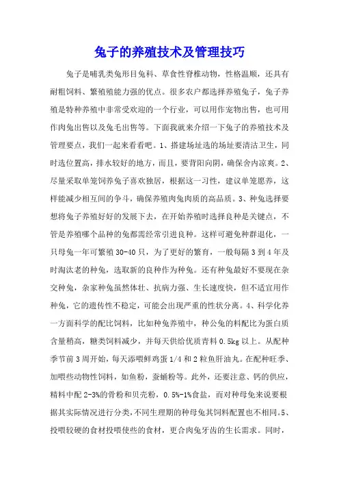 兔子的养殖技术及管理技巧