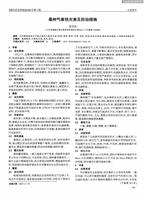 桑树气象性灾害及防治措施