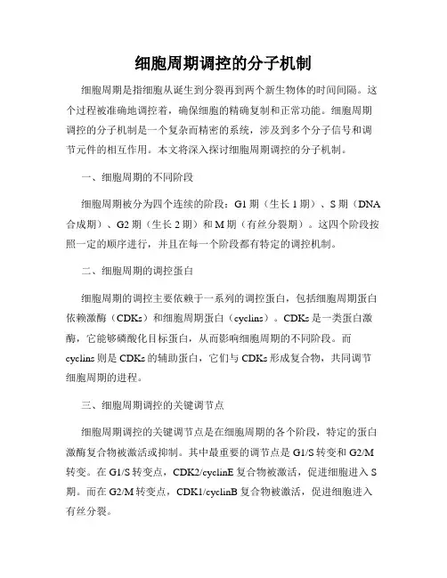 细胞周期调控的分子机制