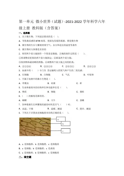 教科版科学六年级上第一单元 微小世界单元水平检测卷(含答案)3套