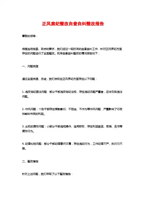 正风肃纪整改自查自纠整改报告