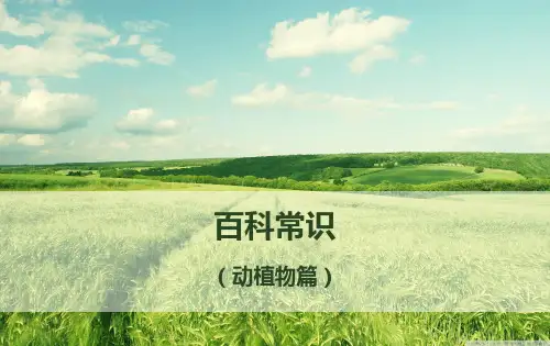 百科常识(动植物)ppt
