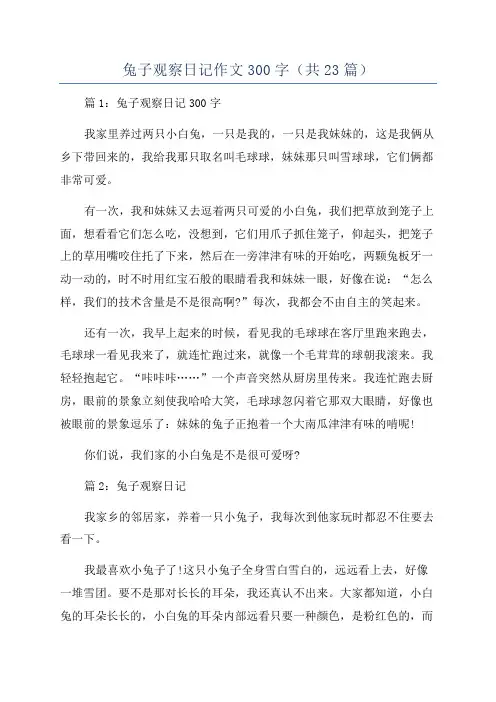 兔子观察日记作文300字(共23篇)
