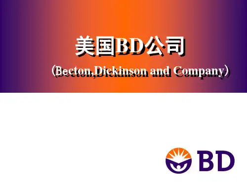 美国BD公司PPT课件