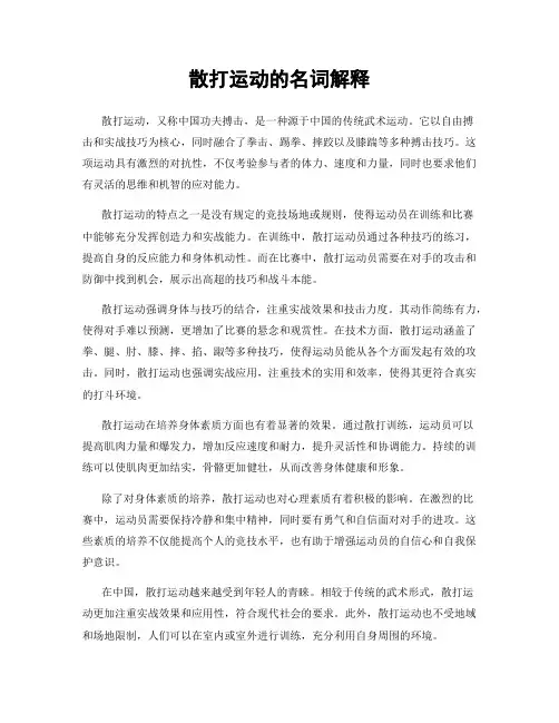 散打运动的名词解释