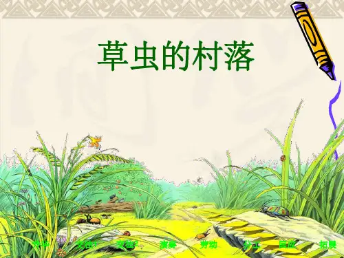小学语文六年级上册《草虫的村落》