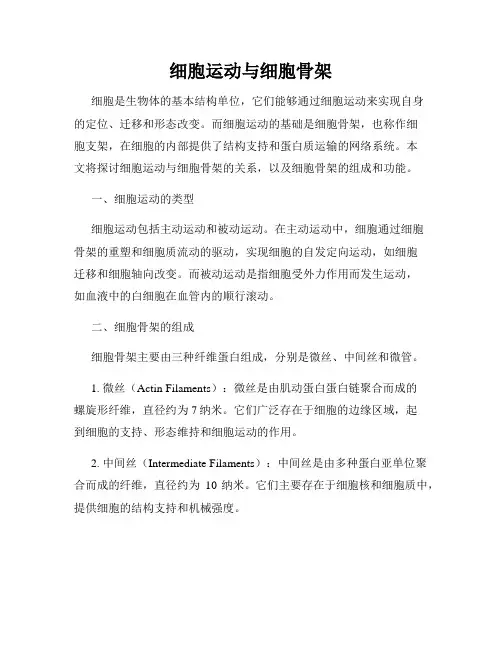 细胞运动与细胞骨架
