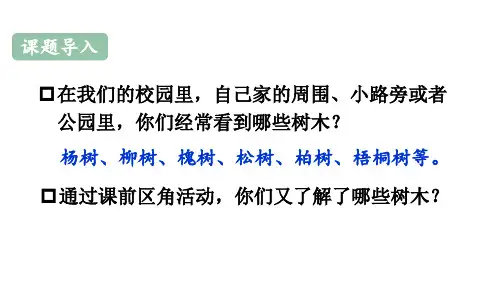(最新)24年秋统编二年级语文上册2 树之歌(精品课件)