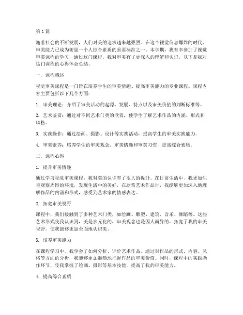 视觉审美课程心得体会总结(2篇)