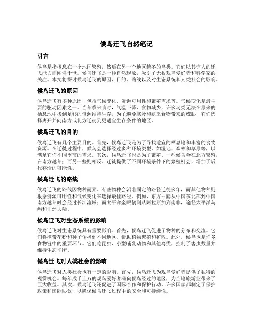 候鸟迁飞自然笔记
