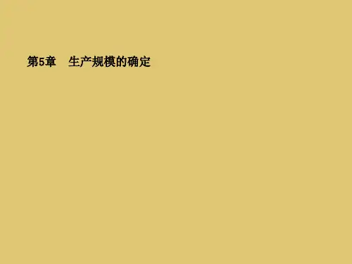 第5章 生产规模的确定《可行性研究与项目评估》 (1)