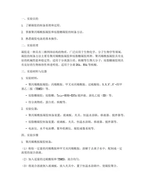 凝胶制作实验报告