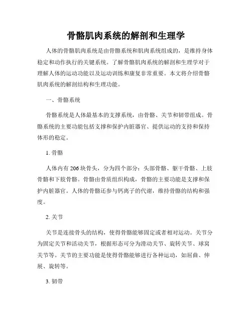骨骼肌肉系统的解剖和生理学