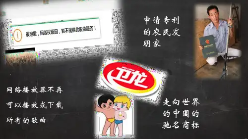高二政治课件：选修5 2.4 切实保护知识产权(共31张PPT)(领先版)