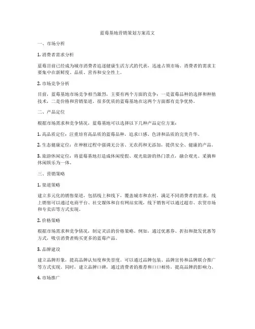 蓝莓基地营销策划方案范文