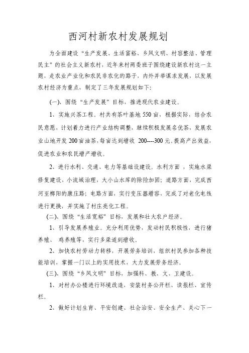 村三年发展规划