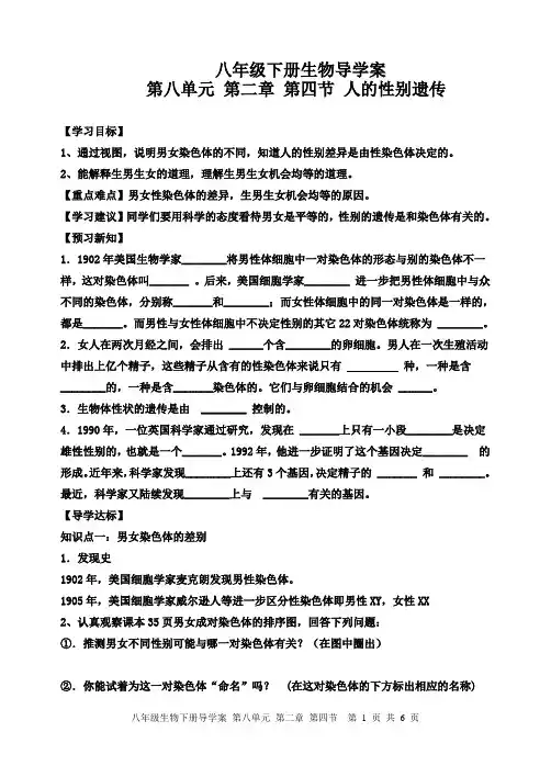 鲁科版生物八下8.2.4人的性别的遗传导学案