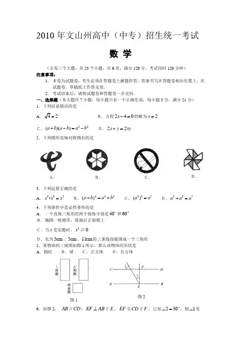 2010年云南省文山中考数学试题及答案
