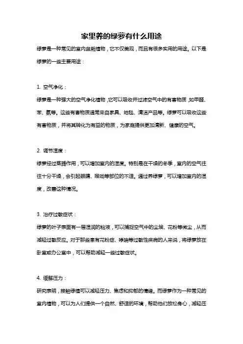 家里养的绿萝有什么用途