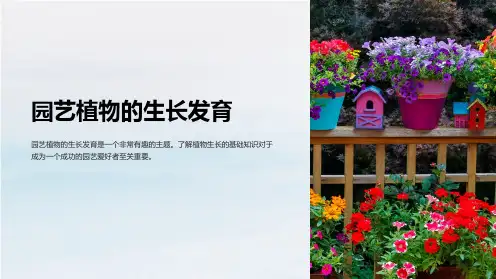 园艺植物的生长发育