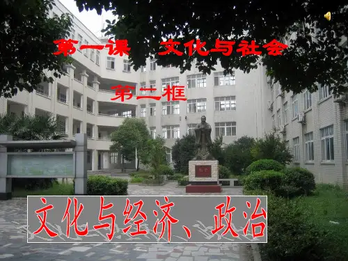 反对文化霸权主义