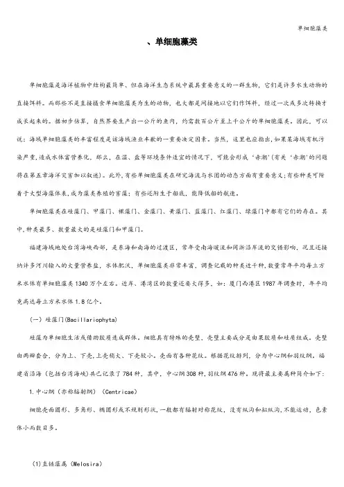 单细胞藻类