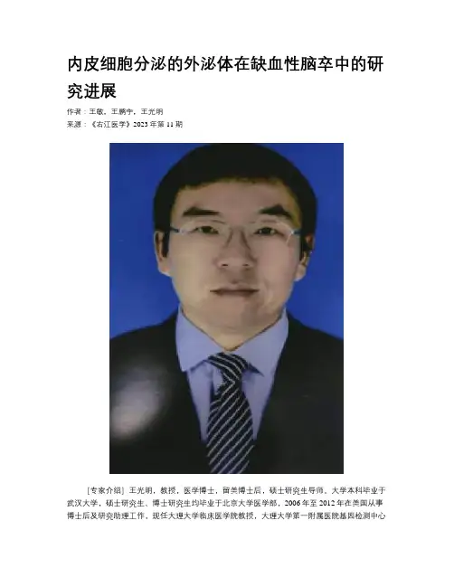 内皮细胞分泌的外泌体在缺血性脑卒中的研究进展