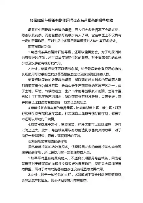 经常喝菊苣根茶有副作用吗盘点菊苣根茶的哪些功效