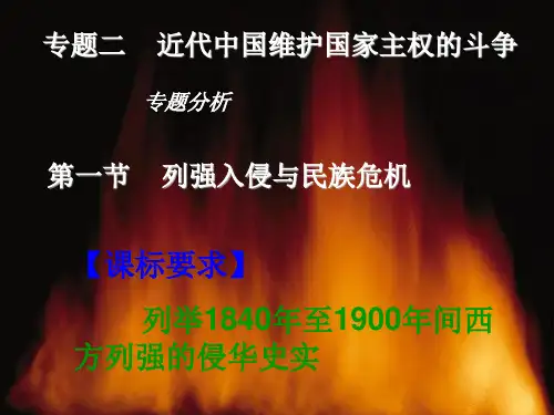 《列强入侵与民族危机》课件(人民版)