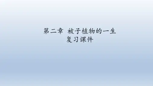 鲁科版(五四学制)生物六年级下册：第二章 被子植物的一生  复习课件(共47张PPT)