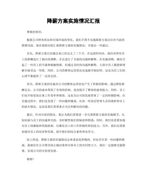 降薪方案实施情况汇报