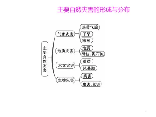 主要自然灾害的形成和分布PPT课件