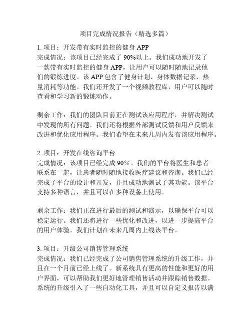 项目完成情况报告(精选多篇)
