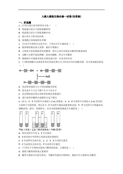 人教人教版生物必修一试卷(含答案)