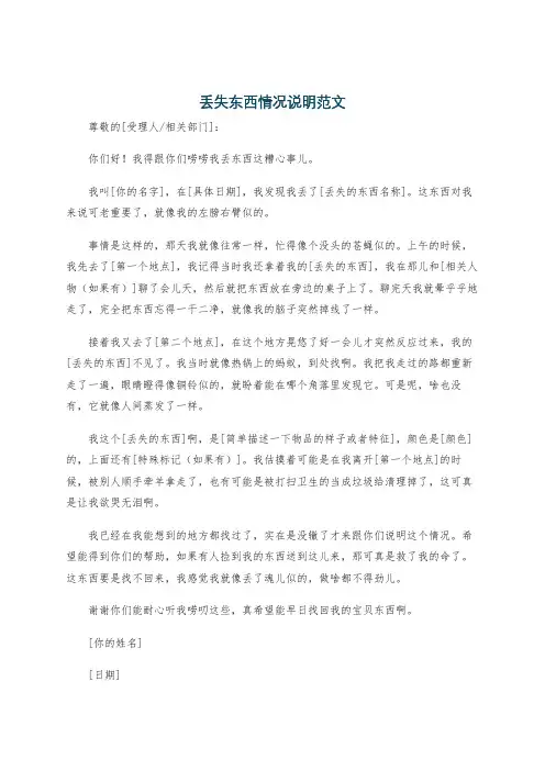 丢失东西情况说明范文