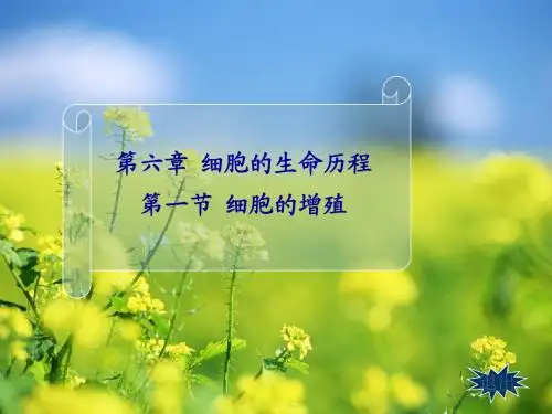 人教版必修1第六章+第一节细胞的增殖(共14张PPT)