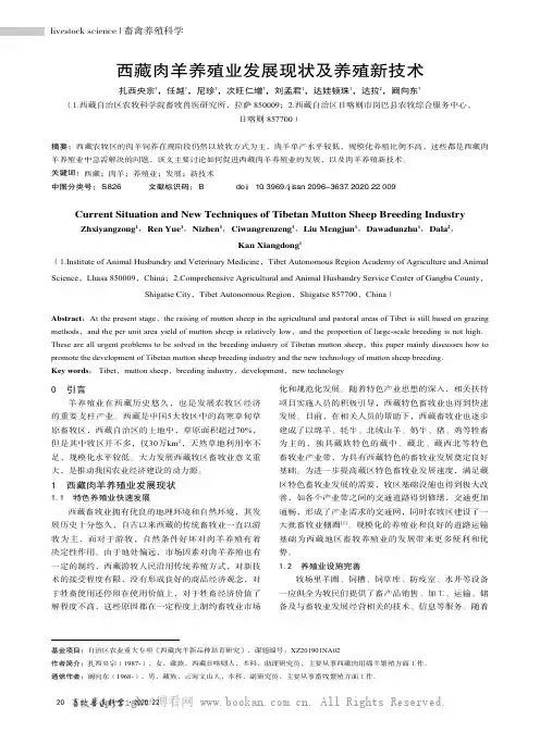 西藏肉羊养殖业发展现状及养殖新技术