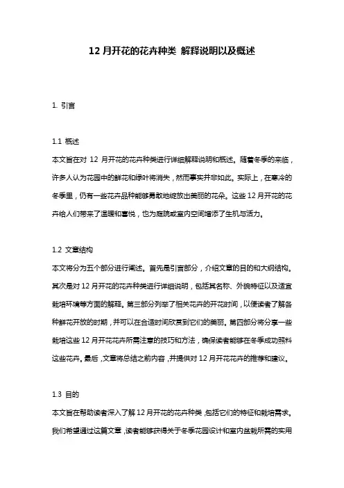 12月开花的花卉种类_解释说明以及概述
