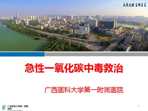 急性一氧化碳中毒救治PPT课件