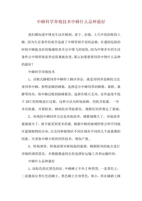 中蜂科学养殖技术 中蜂什么品种最好