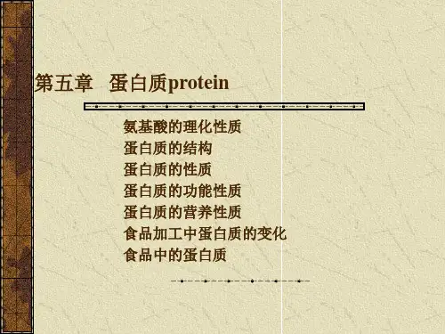 吉林大学食品化学第5章   蛋白质protein1