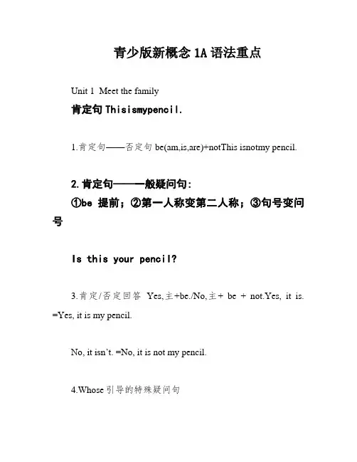 青少版新概念1A语法重点