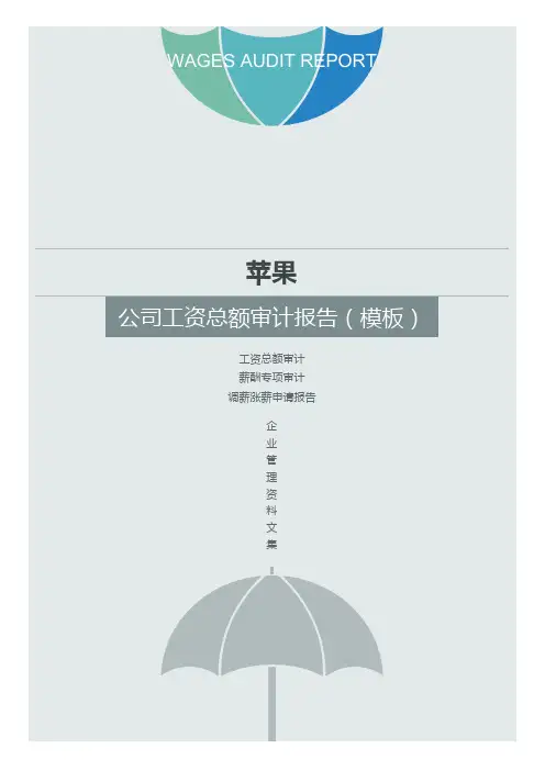 苹果公司工资总额审计报告(加薪方案)